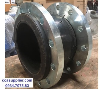 Khớp cao su chống rung lắp bích ANSI